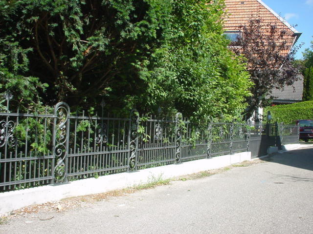 Bilder anzeigen
