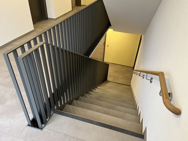 Bilder anzeigen
